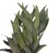 12 Pack: 21" Green Willow Eucalyptus by Ashland®